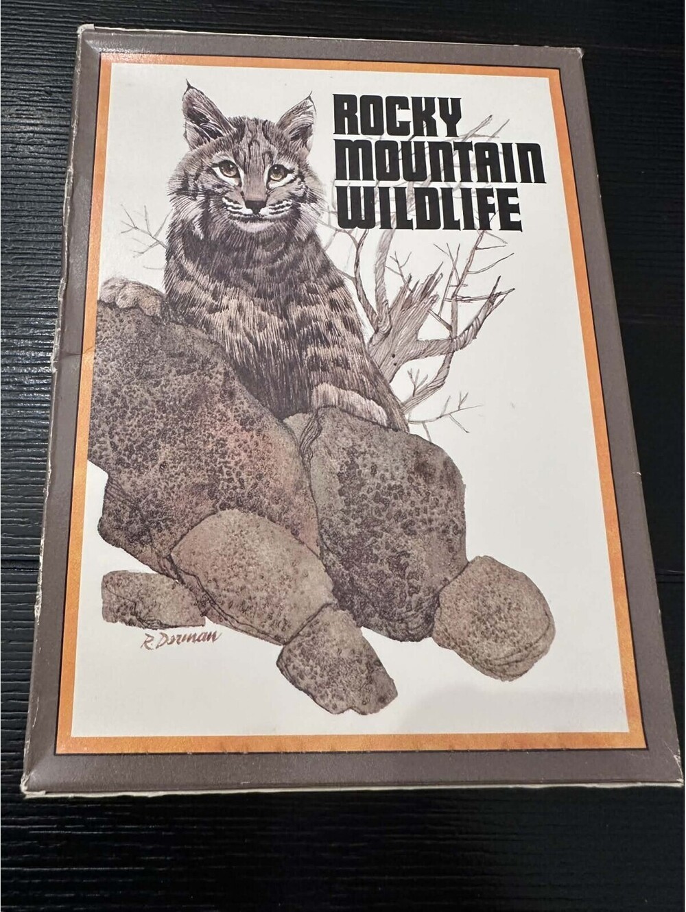 Vintage Rocky Mountain Wildlife Bobcat Note Cards 8 Designs Factory Sealed